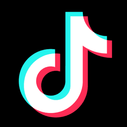 Tiktok Downloader